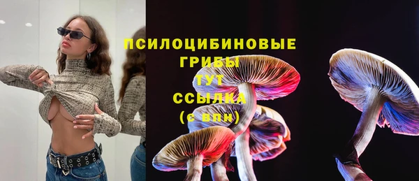 индика Абинск