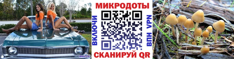 дарнет шоп  Кострома  Галлюциногенные грибы Cubensis 