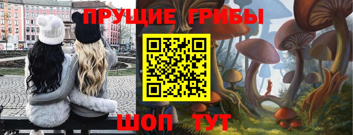 купить  сайты  Галлюциногенные грибы прущие грибы  Вход с VPN  Галлюциногенные грибы Cubensis  Кострома 