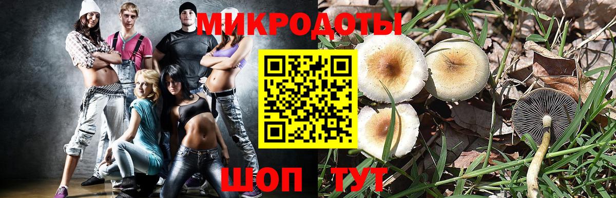 Псилоцибиновые грибы Psilocybine cubensis Кострома